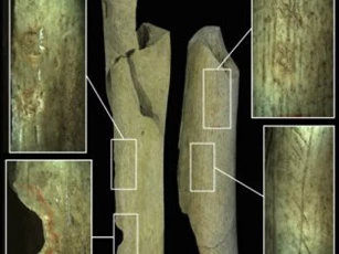 Phát hiện dấu vết cho thấy người Neanderthal từng xẻ thịt đồng loại