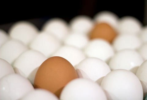 Trứng là nguồn cung cấp năng lượng tốt nhất