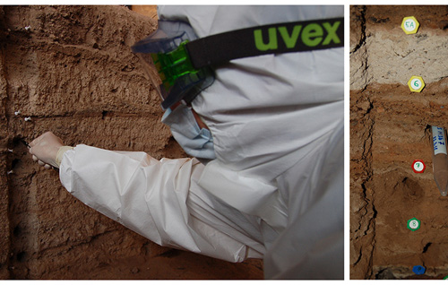 Truy tìm nguồn gốc bệnh tật của con người