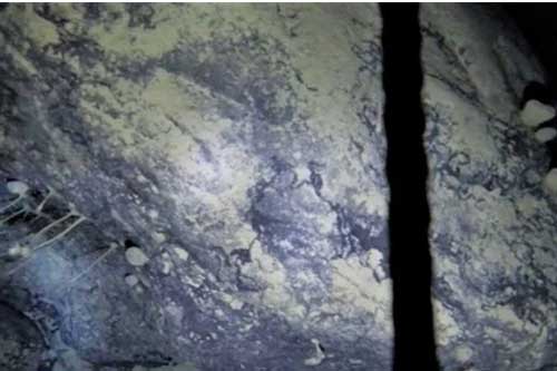 Khoan sâu 900m xuống lớp băng Nam Cực, các nhà khoa học bối rối khi phát hiện sinh vật kỳ lạ chưa từng được biết đến