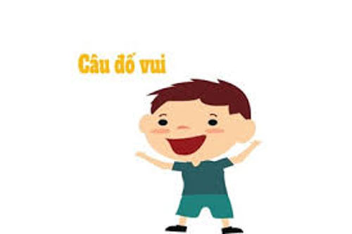 CLIP: Bài toán đồng xu làm khó học sinh 17 tuổi ở Australia