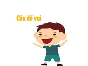 CLIP: Bài toán đồng xu làm khó học sinh 17 tuổi ở Australia