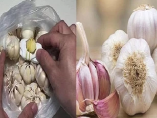 Bảo quản tỏi khô tới vài năm với những mẹo đơn giản
