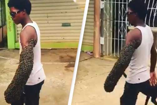 Clip: Choáng ngợp trước cảnh 'dị nhân' để hàng nghìn con ong bám khắp cánh tay