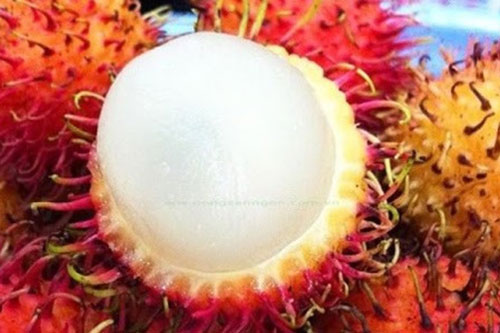 5 loại trái cây không ăn khi đang bị mụn