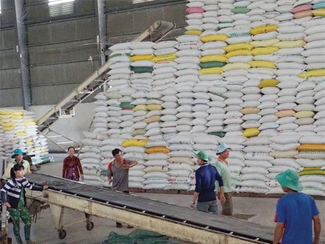 Xuất khẩu gạo đầu năm 2021 hạ nhiệt - Ảnh 1.