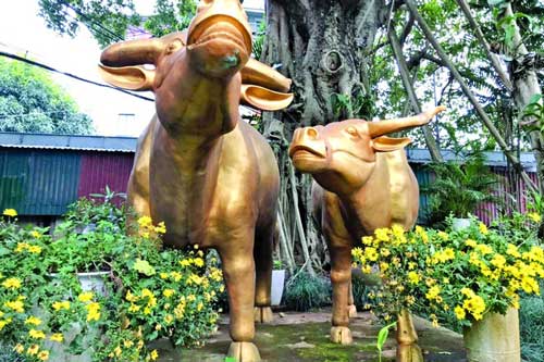 Giải mã truyền thuyết Trâu vàng dưới đáy hồ Tây