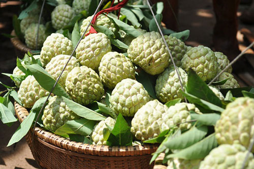 Ăn phải hạt của những loại trái cây này sẽ nguy hại khôn lường