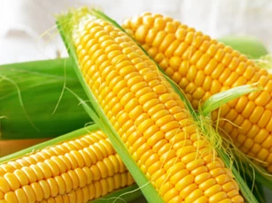 Thời điểm 'vàng' ăn 1 bắp ngô tốt hơn uống bất cứ loại thuốc quý, nhân sâm nào