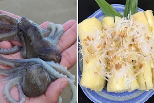 10 món ăn được xếp hạng độc hại nhất trên thế giới, Việt Nam góp tới 8 món nhiều người mê