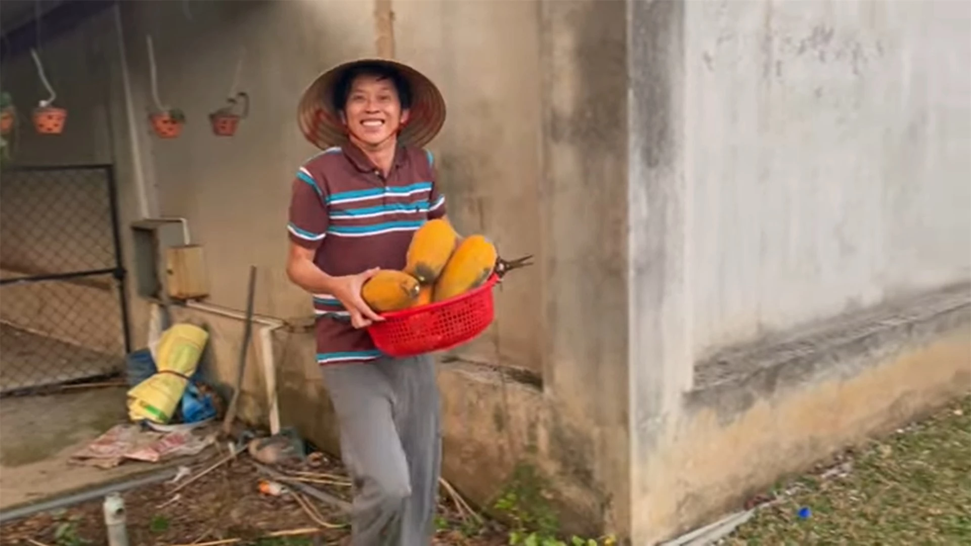 Hoài Linh đội nón lá, trèo cây hái đu đủ trong nhà thờ Tổ - Ảnh 5.