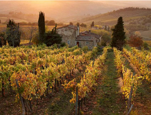 Ngắm những quê hương rượu vang nổi tiếng