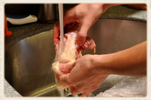 Ngộ độc thực phẩm vì thói quen rửa thịt gà sống