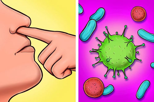 Tại sao ngoáy mũi không chỉ khiếm nhã mà còn có thể gây hại?