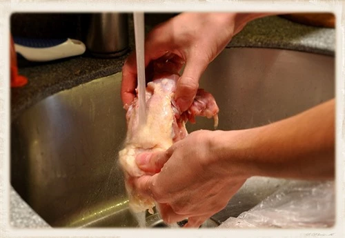 ngộ độc thực phẩm vì rửa thịt gà sống