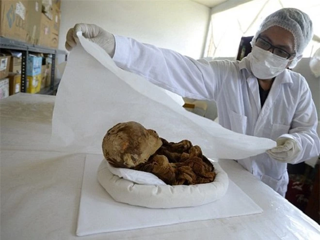 Một xác ướp trẻ em người Inca được tìm thấy ở ngoại ô thủ đô Lima, Peru
