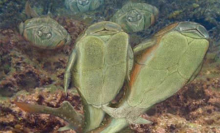 Loài đầu tiên làm "chuyện ấy" trên Trái Đất