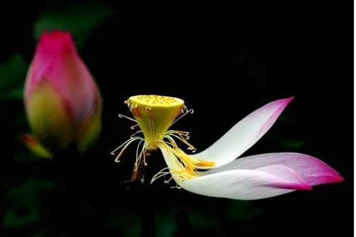 Đời người chỉ xoay quanh 3 việc này, ai cũng nên biết để không lãng phí thời gian và công sức