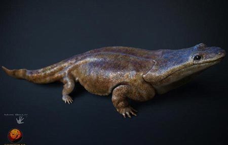 Phát hiện loài "siêu kỳ nhông" to bằng xe hơi