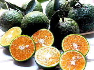 Thực phẩm làm giảm nguy cơ ung thư tuyến tiền liệt