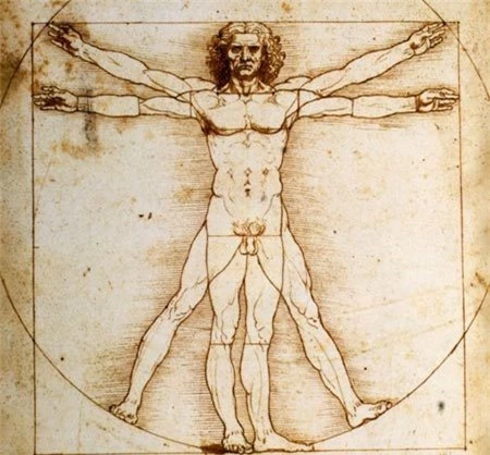 Khám phá bác bỏ 'Người Vitruvius' của Da Vinci là hoàn hảo