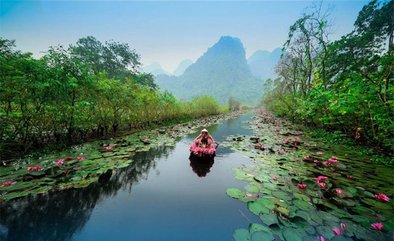 Thời điểm thích hợp nhất để ghé thăm suối Yến là từ tháng 9-11, lúc này hoa súng nở tím biếc 2 bên bờ suối trông rất thơ mộng. Ảnh: Vietnammoi.