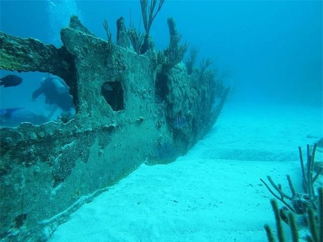 Tam giác Bermuda hay còn gọi là “Tam giác quỷ” vốn là một khu vực bí ẩn với nhiều câu chuyện về những vụ mất tích bí ẩn liên quan tới tàu thủy, máy bay hay thủy thủ đoàn. Đây là địa điểm tập trung nhiều xác tàu đắm nhất trên thế giới.