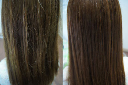 3 công thức giúp phục hồi tóc hư tổn mà không tốn tiền
