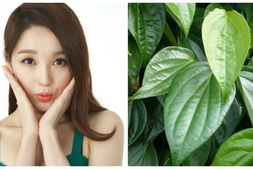 5 cách chữa đau răng tại nhà bạn phải biết