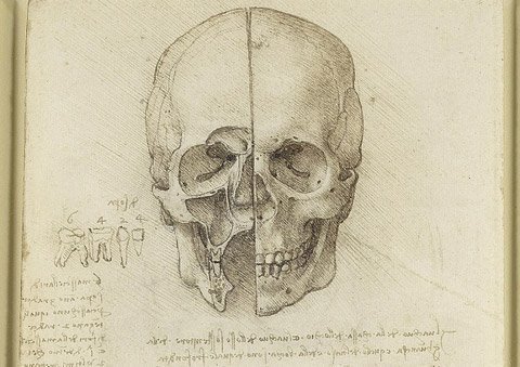 Leonardo Da Vinci từng mua sọ người?