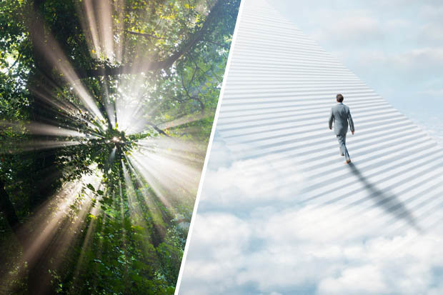 Thiên đường qua lời nhà khoa học hồi sinh từ cõi chết (phần I)