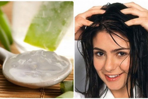 Tường tận công thức phục hồi tóc hư tổn với nha đam