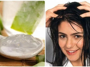 Tường tận công thức phục hồi tóc hư tổn với nha đam