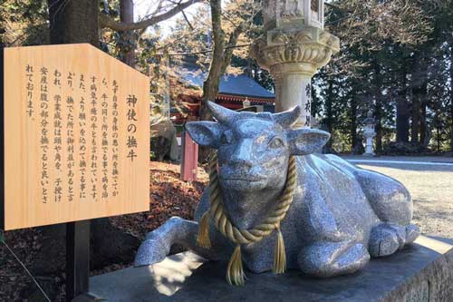 Vì sao trâu vàng được chọn là linh vật?