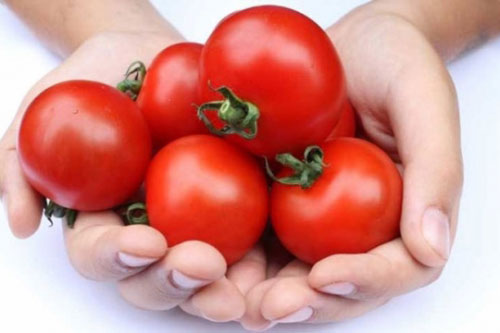 Người bán cà chua sẽ không bao giờ nói cho bạn biết: Vì sao nên chọn những quả cà chua không đều màu?