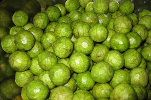 Những người cần hạn chế ăn quả sấu