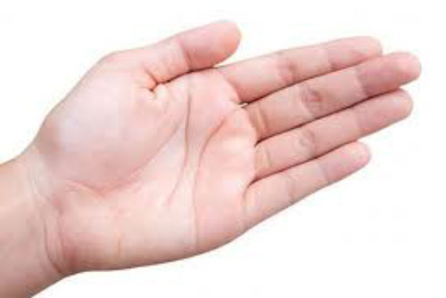 Dấu hiệu bạn là người giàu có hiện trên lòng bàn tay