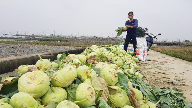 Bộ Công Thương vào cuộc gỡ khó cho Hải Dương về tiêu thụ nông sản