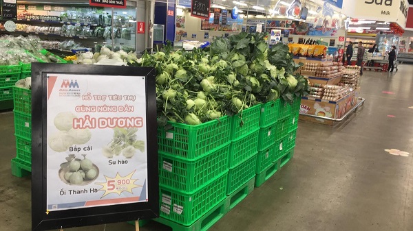 MM Mega Market sẽ “giải cứu” nông sản Hải Dương, với tổng sản lượng 70 tấn/tuần