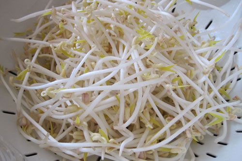 5 thực phẩm giúp bạn giảm cholesterol trong máu