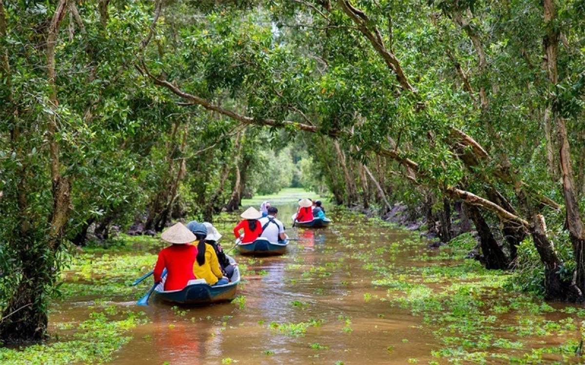 Nhiều du khách chọn bơi xuồng, khám phá rừng tràm xanh mát.