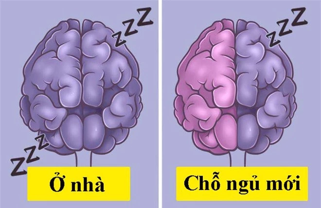 Khoa học giải thích vì sao chúng ta thường trằn trọc, khó ngủ trong đêm đầu tiên đến chỗ mới - Ảnh 5.