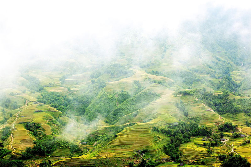 Sa Pa và những nơi có ruộng bậc thang đẹp nổi tiếng