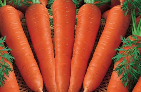 Thêm những lầm tưởng về chăm sóc sức khỏe