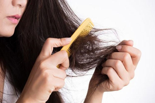 Ăn thực phẩm này tóc mọc nhanh như nấm sau mưa