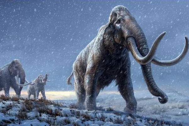 DNA cổ nhất thế giới tiết lộ "sự trỗi dậy" của loài động vật khổng lồ 12 tấn