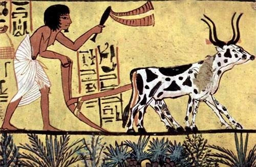 Những phát minh kỳ diệu của người Ai Cập cổ đại - 5