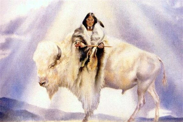 Nữ thần bò trắng linh thiêng của người da đỏ ở Mỹ