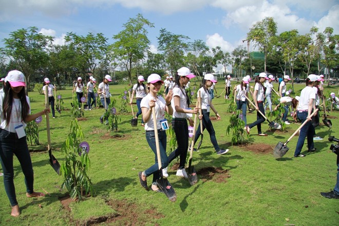 Rà soát dự thảo kế hoạch triển khai thi hành bảo vệ môi trường