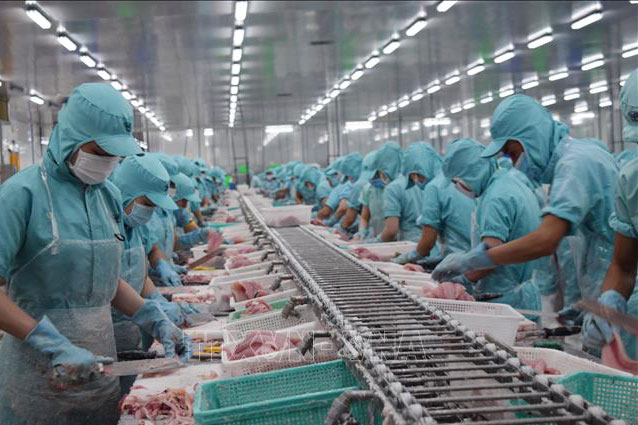 Nhu cầu tiêu thụ thủy sản được dự báo sẽ hồi phục mạnh mẽ